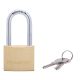 Master Padlock 40mm 1902DLF