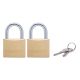 Master Padlock 40mm 2pk