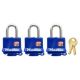 Master Padlock 3pk #312TRI