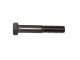 Hex Bolt 1/2x3i S/Steel