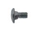 Carr Bolt 1/4x1/2