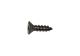 Screw 12x3/4i S/Steel Flt Hd