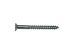 Zinc Screw 10x2i PHLPS