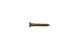 Brass Screw 5x3/4 PHLPS