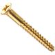 Brass Screw 10x2i PHLPS