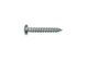 Zinc Screw 7x1i PHLPS