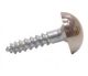 MIRROR SCREWS 1-1/2