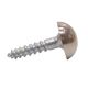 Mirror Screw 8x3/4i