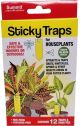 Sticky Insect Trap Plants 12ct