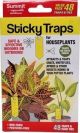 Sticky Insect Trap Plants 48ct