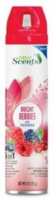 Air Fresh Bright Berries 9oz