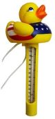 Pool Thermometer