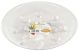 Plant Saucer Plus Clear 6i