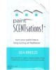 Paint Scentations Sea Breeze