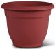 Plant Pot 6