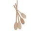 Wood Spoon 14i