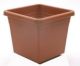 Plant Pot Sq 15i Terracotta