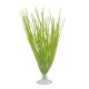 Plastic Plant Haigrass Marina