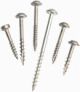 Screws 2i #8 Kreg 50pk