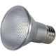 Bulb PAR20 LED 7W 5000K