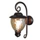 Outdoor Wall Fixture Brnze 1lt