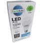 Eco Bulb A19 14W 1500LM 5000K