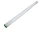 Fluor Tube 2ft 20W Daylight Ph