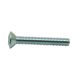 Switch Screws Zinc 2i