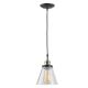 Pendant/Shade 1L Brnz/Ant Brs