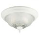 Flush Ceiling Fixture White 2L