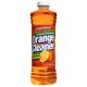 Disinfectant Orange 22oz Power