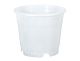 PLANT POT ORCHID 12 CM TRANSPA